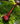 ARAGORN™ Churchwarden Smoking Pipe | Lifestyle