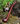 TREEBEARD™ Churchwarden Smoking Pipe | Lifestyle
