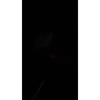 EVENSTAR™